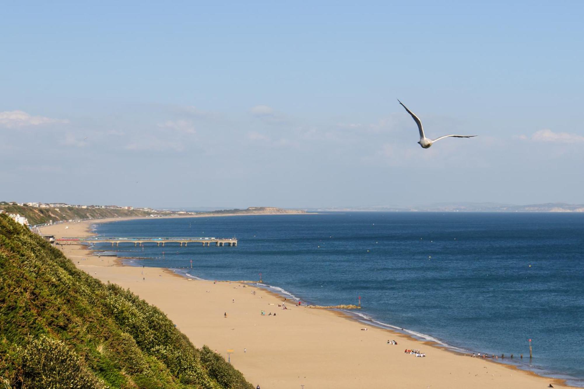 Modern Town Centre Flat - Free Shared Parking, King Size Bed, 5 Minutes Walk To Beach Bournemouth Esterno foto